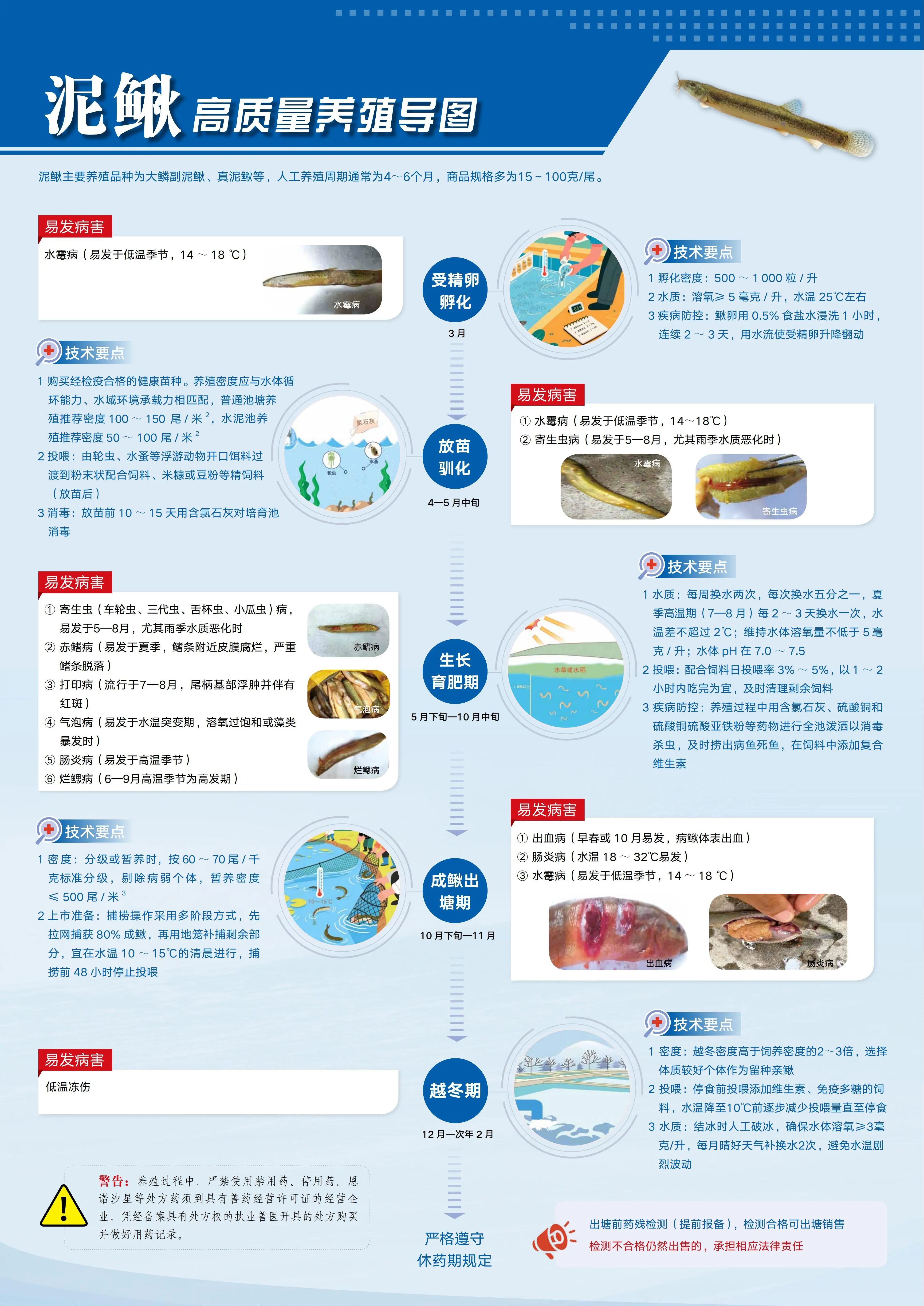 1763952211271920.jpg 3.jpg