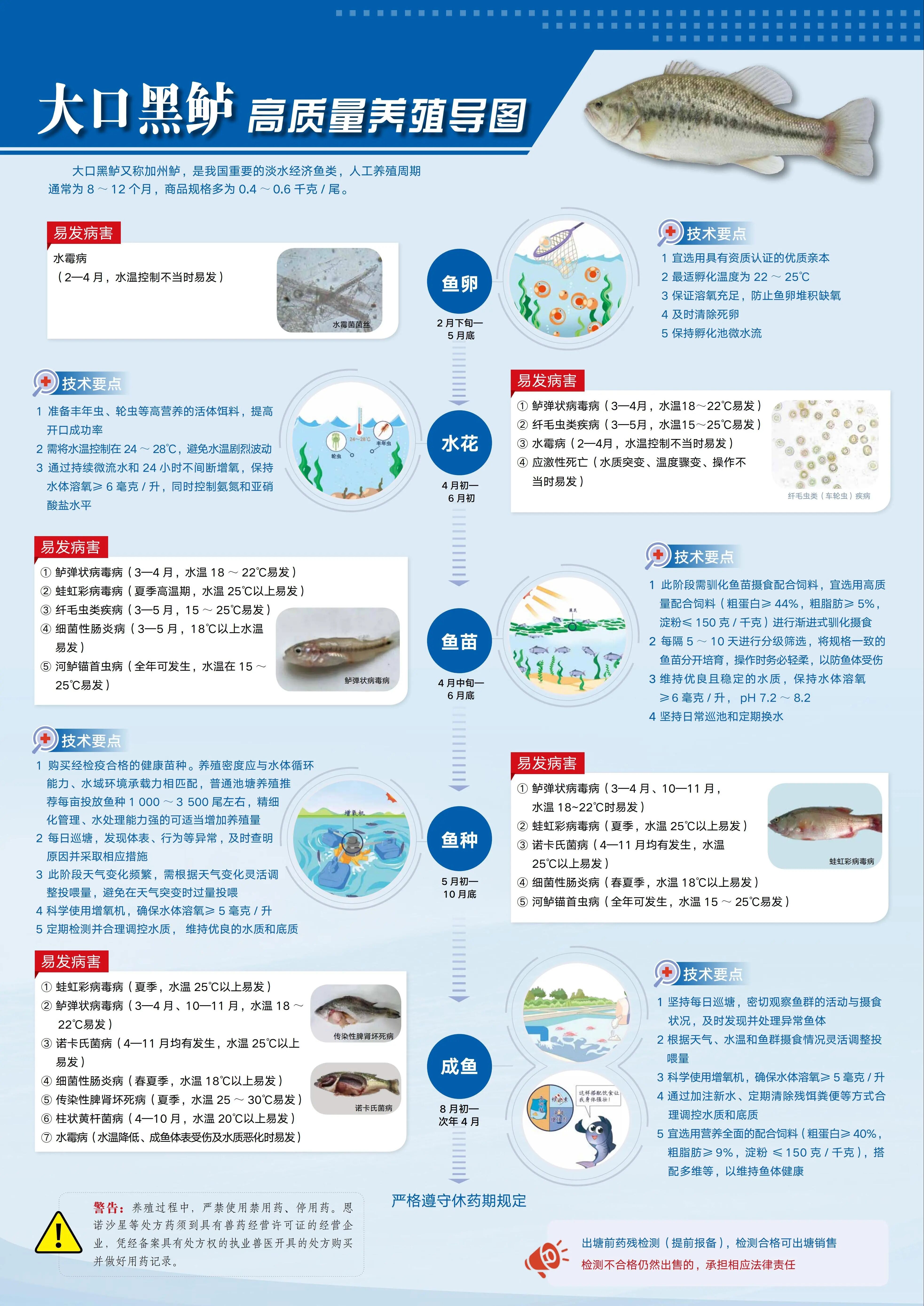 1763952235176138.jpg 4.jpg