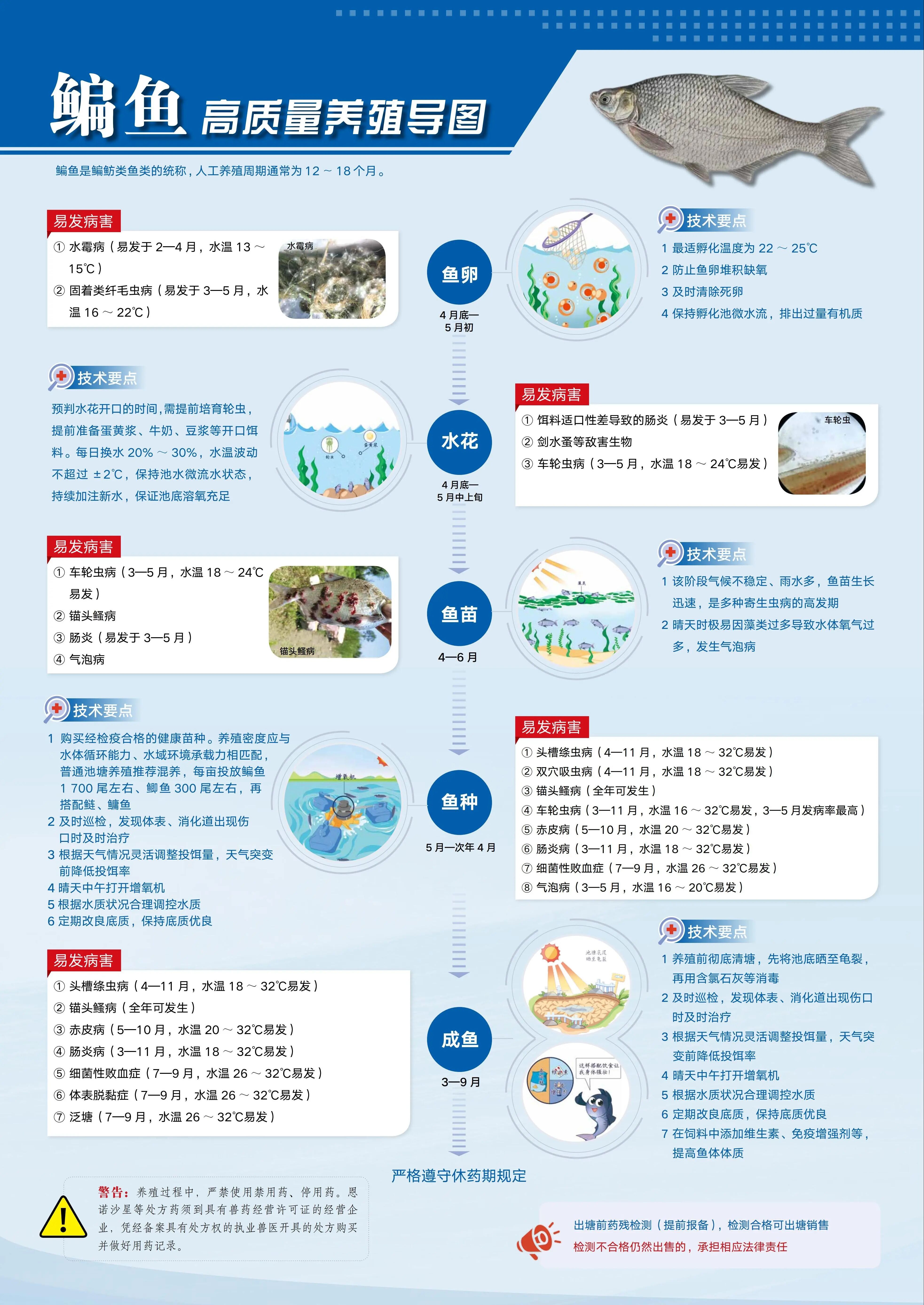 1763952255175095.jpg 5.jpg