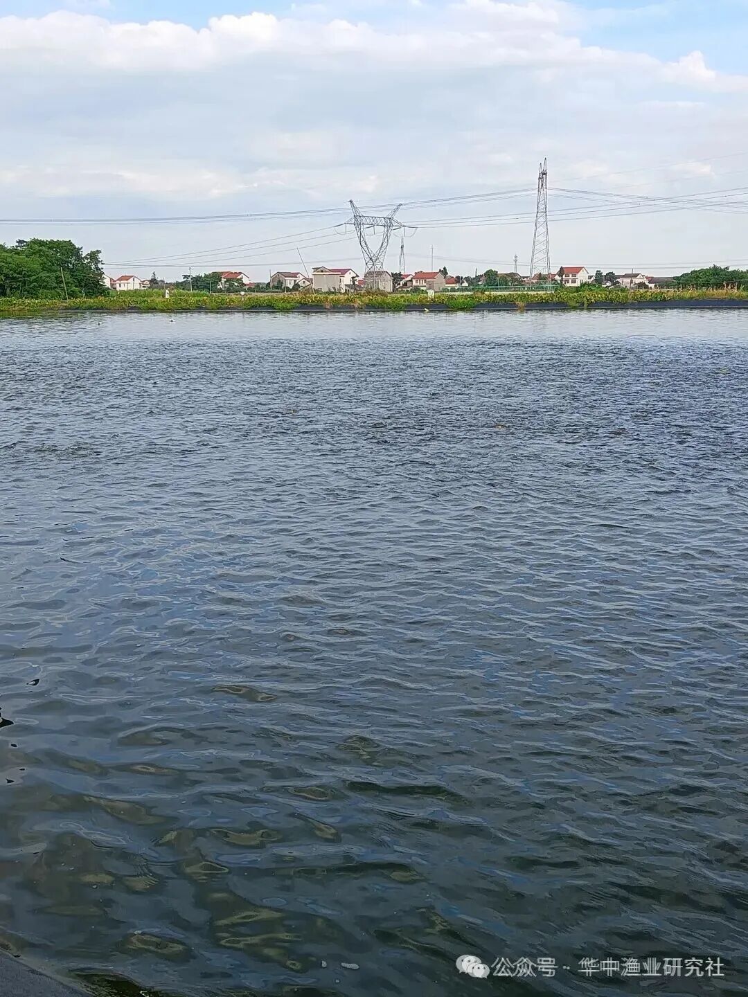 1763953727738351.jpg 2.jpg