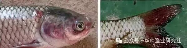 1763953836702529.jpg 5.jpg