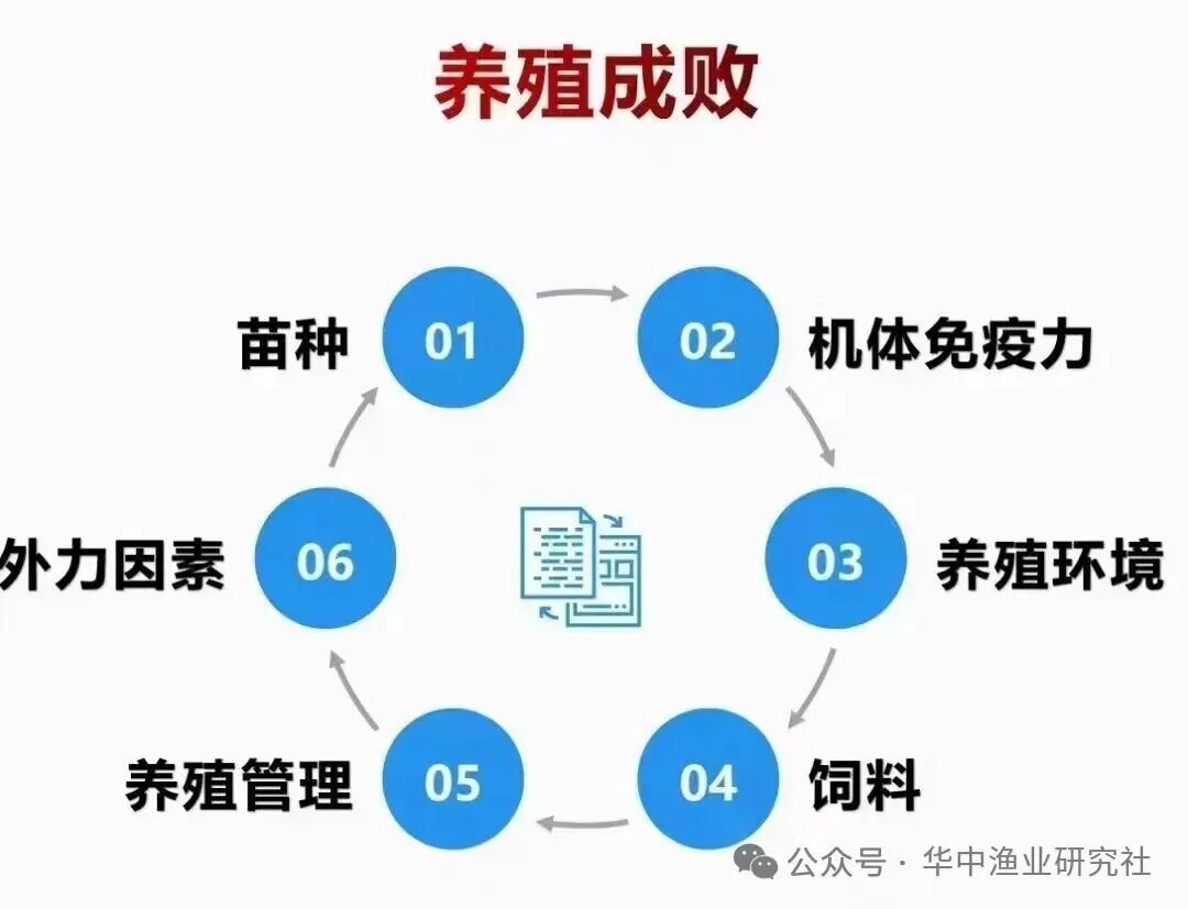 1763953888164677.jpg 7.jpg