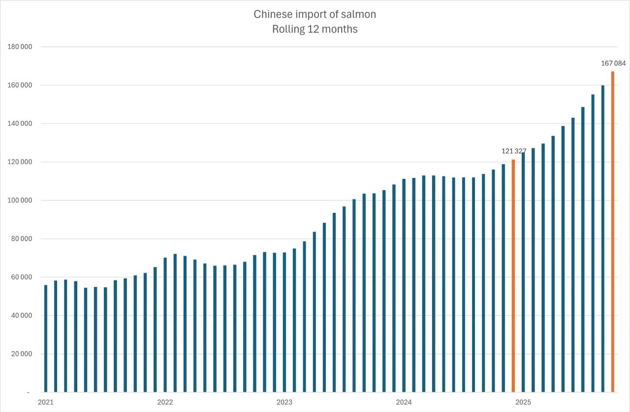 1763955064369479.jpg 2.jpg