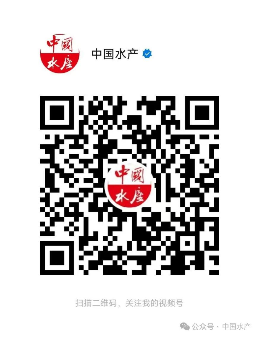 1764035814991531.png 2.png