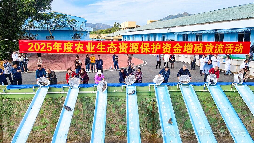 1764125881255092.jpg 6df1703d308257d2d4da3a18ae16ed9d.jpg