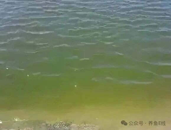 1764126799199030.jpg 3cf5b48a79ad4a2838647ed47b6198a6.jpg