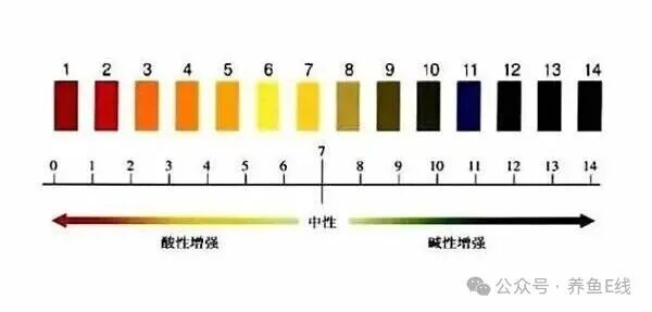 1764126820240675.jpg 2e2eae9e8151e9bdfa170c2f7d8bcbe1.jpg