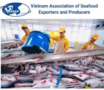 1764210836639232.jpg 1.jpg