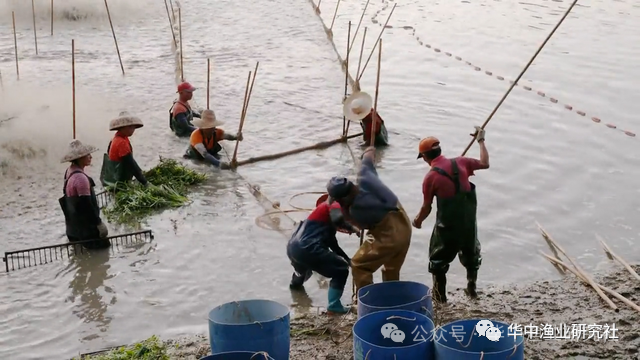 1764297256743867.png 3.png