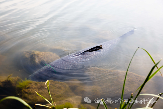 1764559381871313.png 2.png