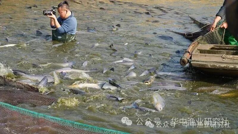 1764559440469025.jpg 5.jpg