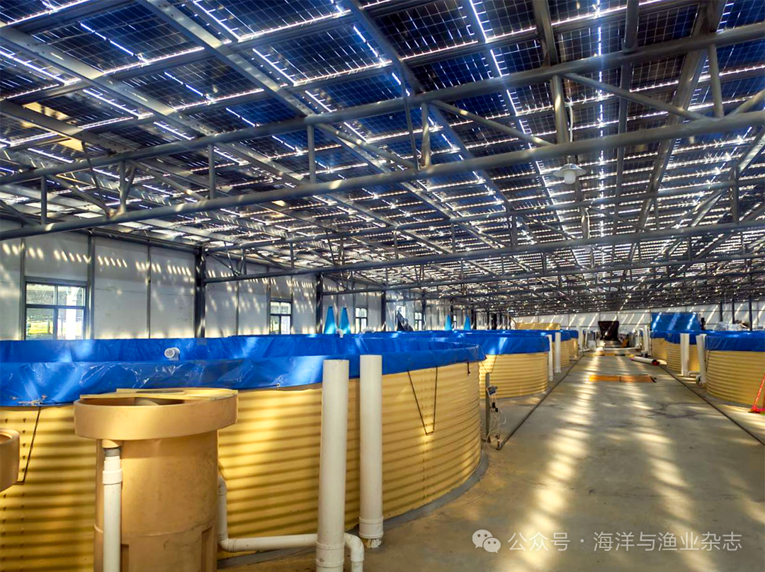 1764641465500243.png 1.png