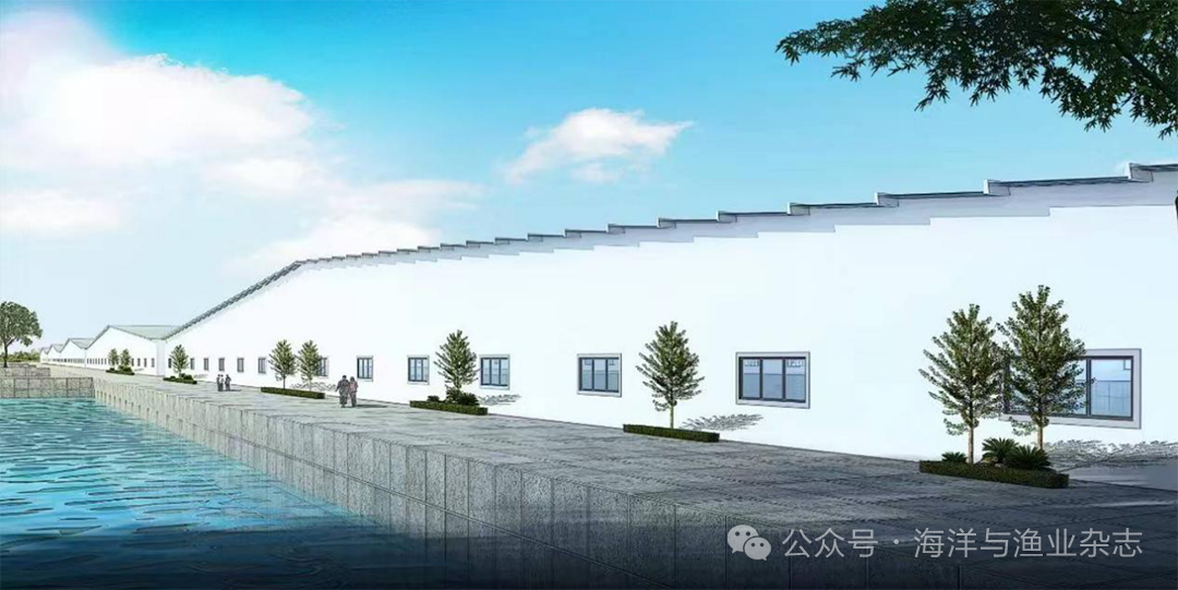 1764641503894149.png 2.png