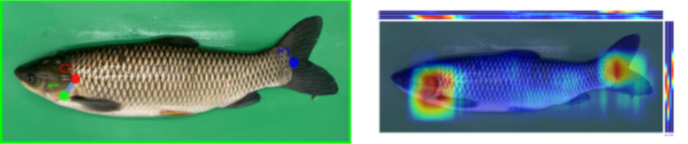 1764642625437143.png 1.png