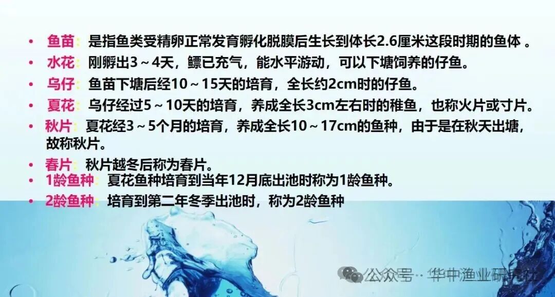 1764643863183505.jpg 4.jpg