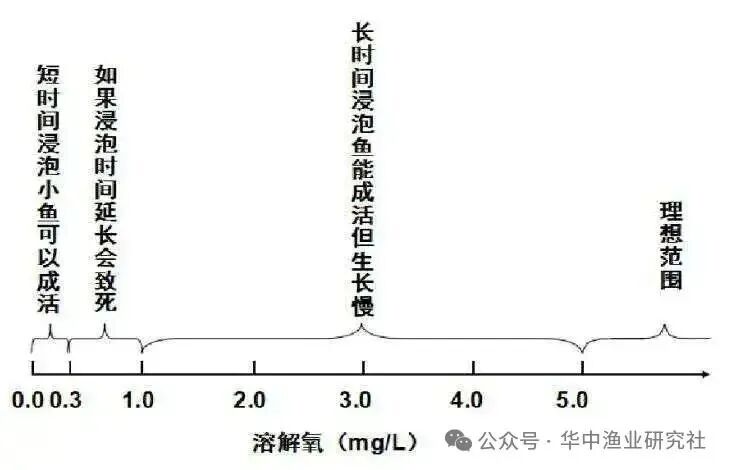 1764643906482157.jpg 7.jpg