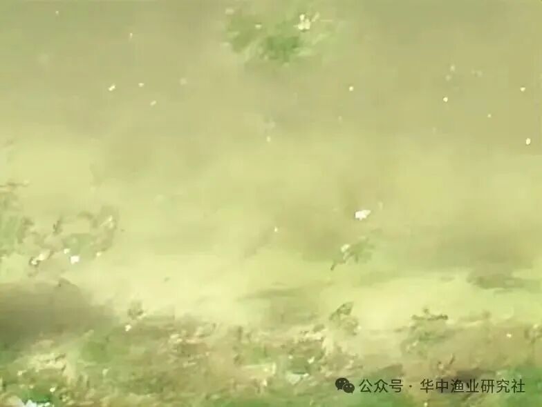 1764643936471497.jpg 8.jpg