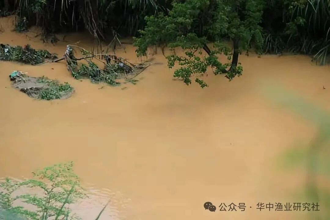 1764643994661310.jpg 10.jpg