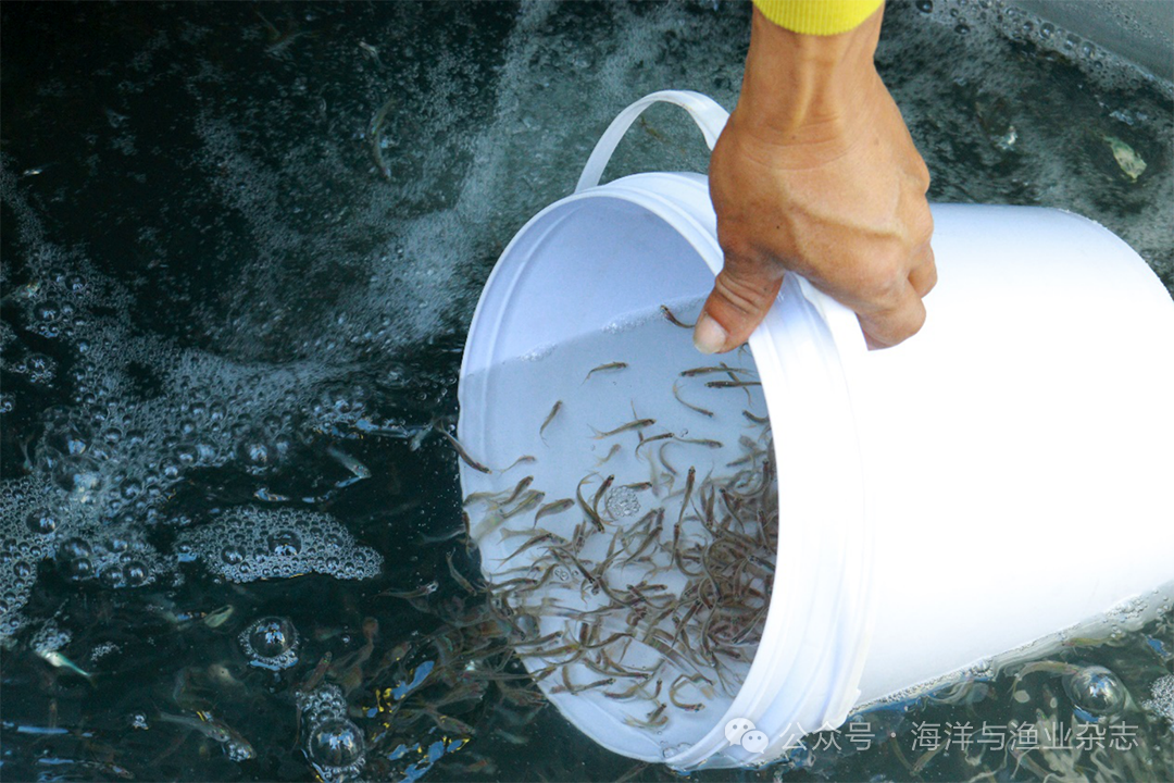 1764729521522595.png 67367cb54cbe3e81e4f264b96432b29b.png