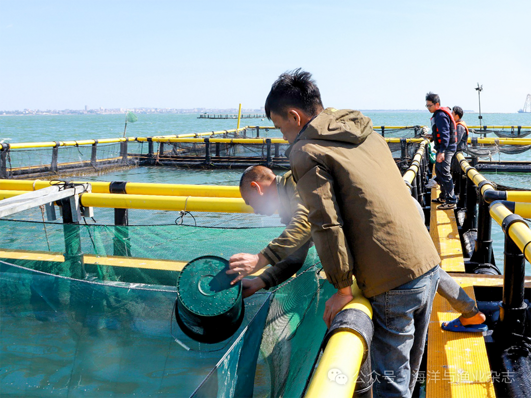 1764729538784112.png a40d703838b66fa75ab6359a0f2d1eb4.png