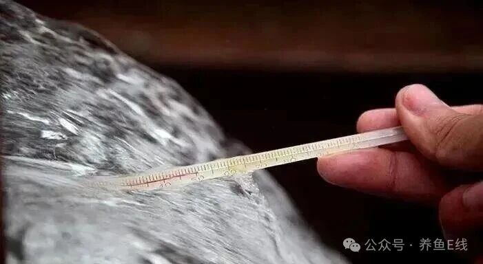 1764730342762911.jpg 5078c8674863176d68af54cd6ad77c86.jpg