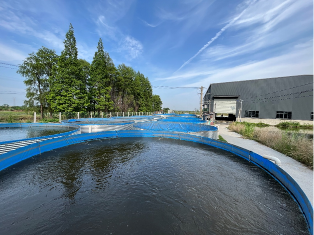 1764816936733317.png 1.png