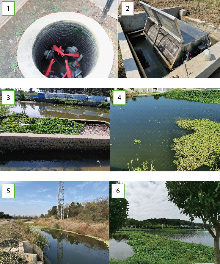 1764817058264661.png 4.png