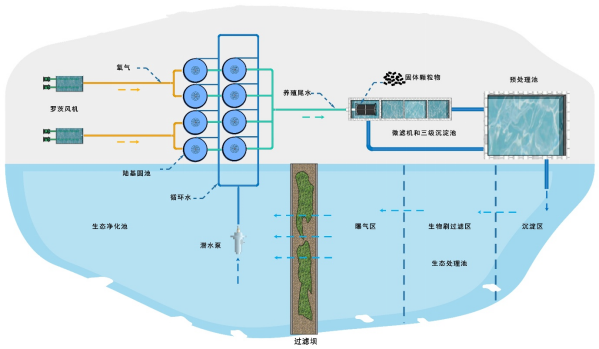 1764817073872917.png 5.png