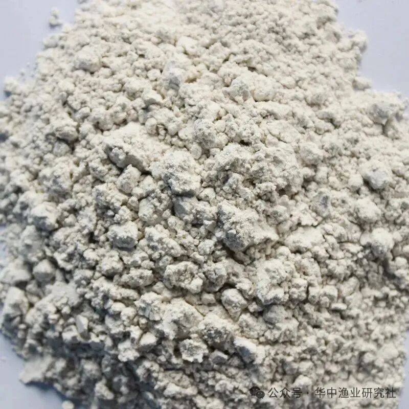 1764818094517867.jpg 2.jpg