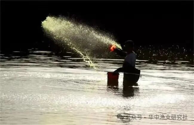 1764830832442194.jpg 2.jpg