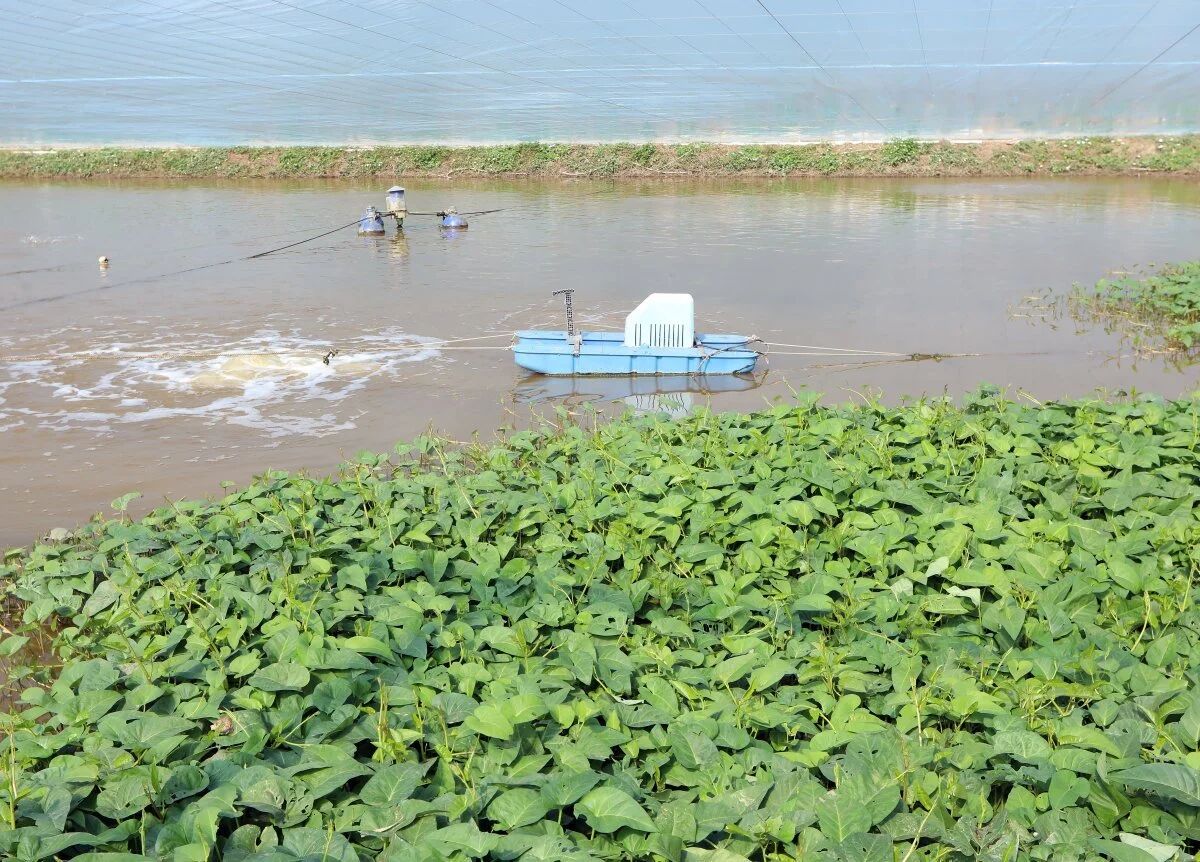 1764900587294409.jpg 1.jpg