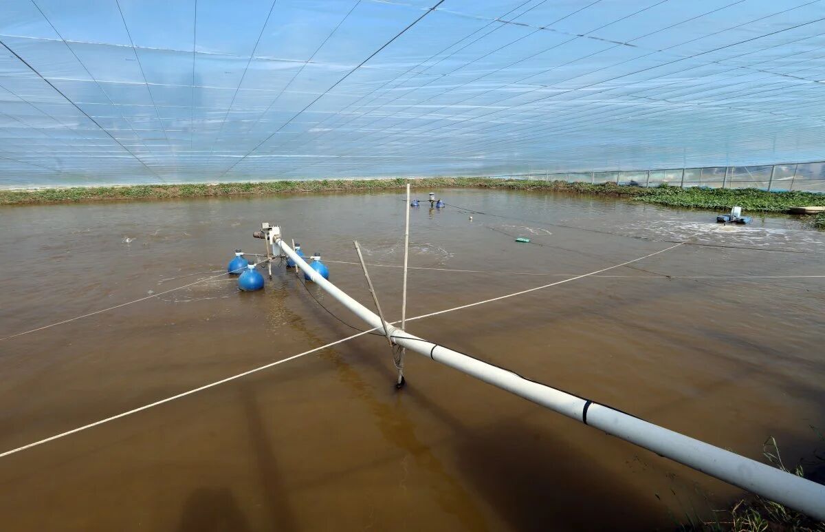 1764900670266151.jpg 4.jpg