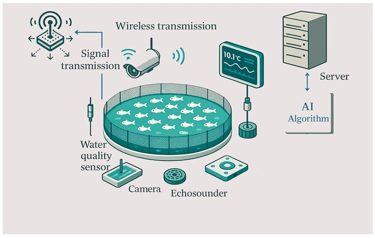 1764903191460803.jpg 1.jpg