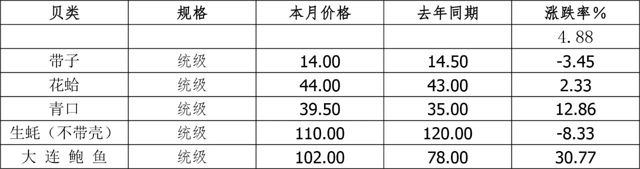 1765164257656280.jpg 10.jpg