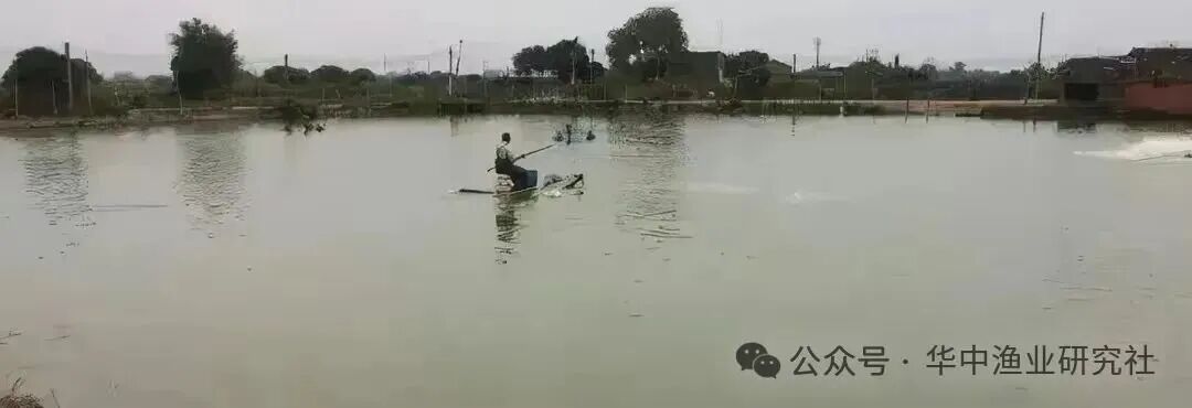 1765175068246219.jpg 1.jpg