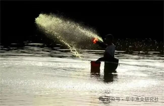 1765175083711376.jpg 2.jpg