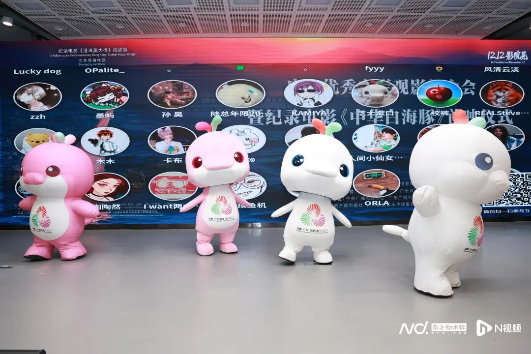 1765248122424563.jpg 8.jpg