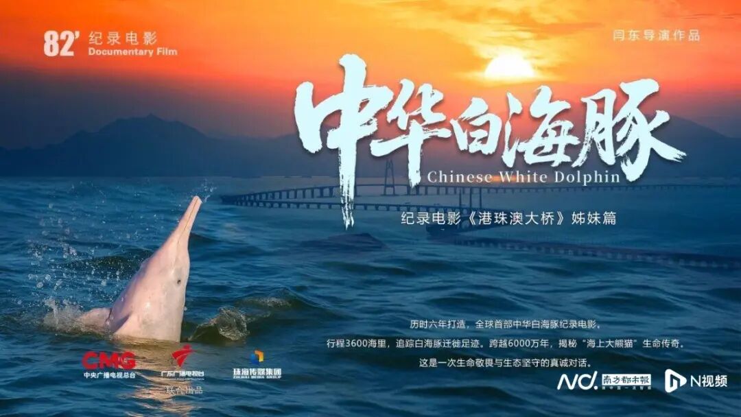 1765248149734798.jpg 10.jpg