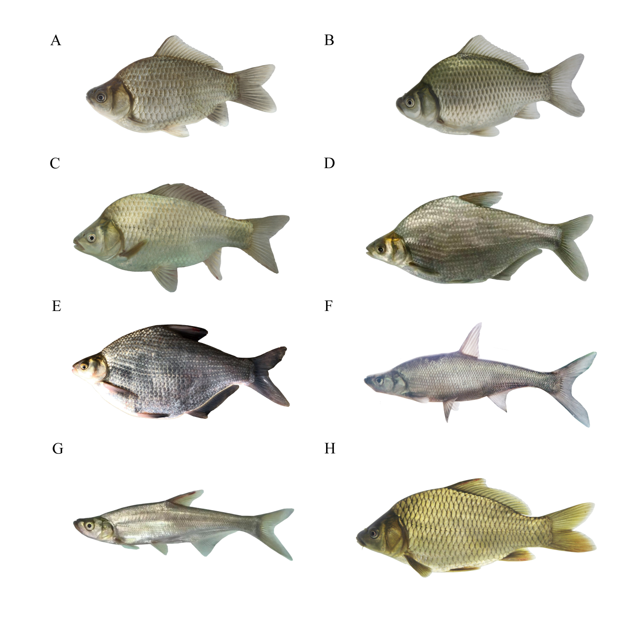 1765248862938777.png 3.png