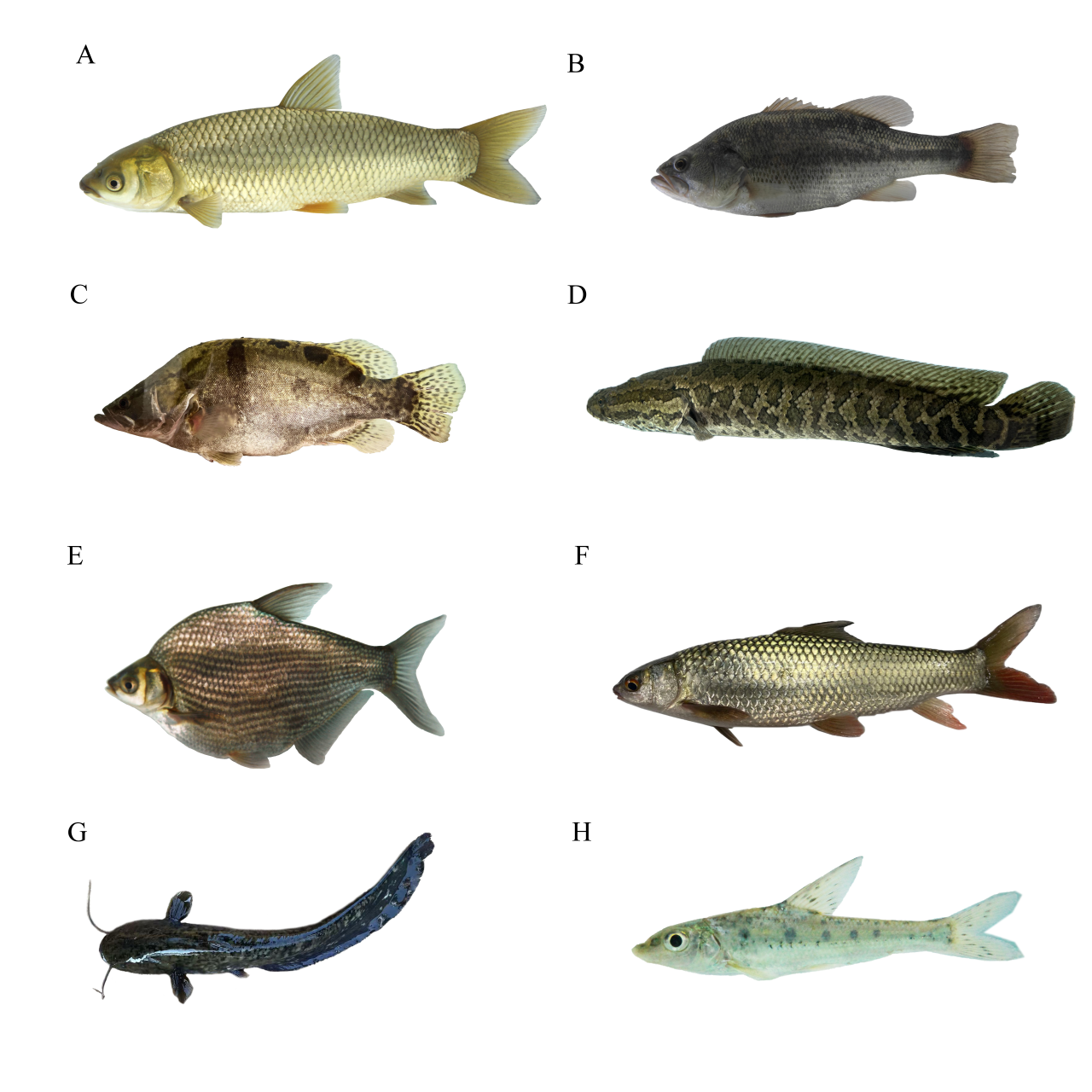 1765248938198060.png 5.png