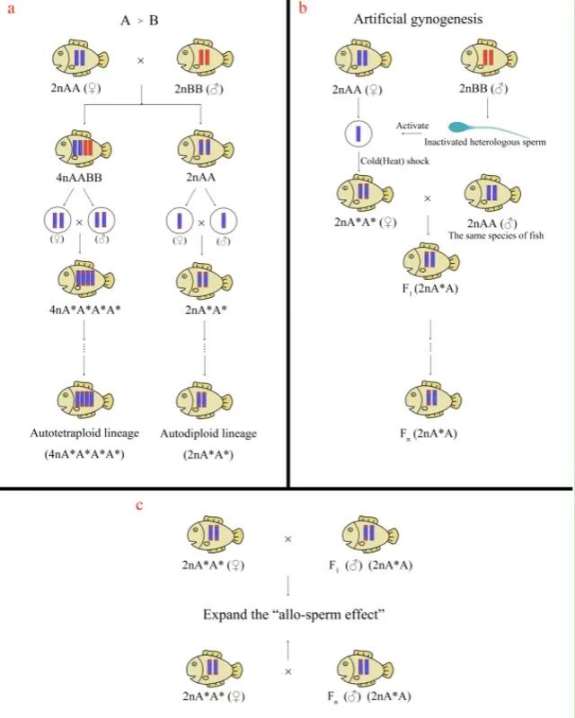 1765248958198994.jpg 6.jpg