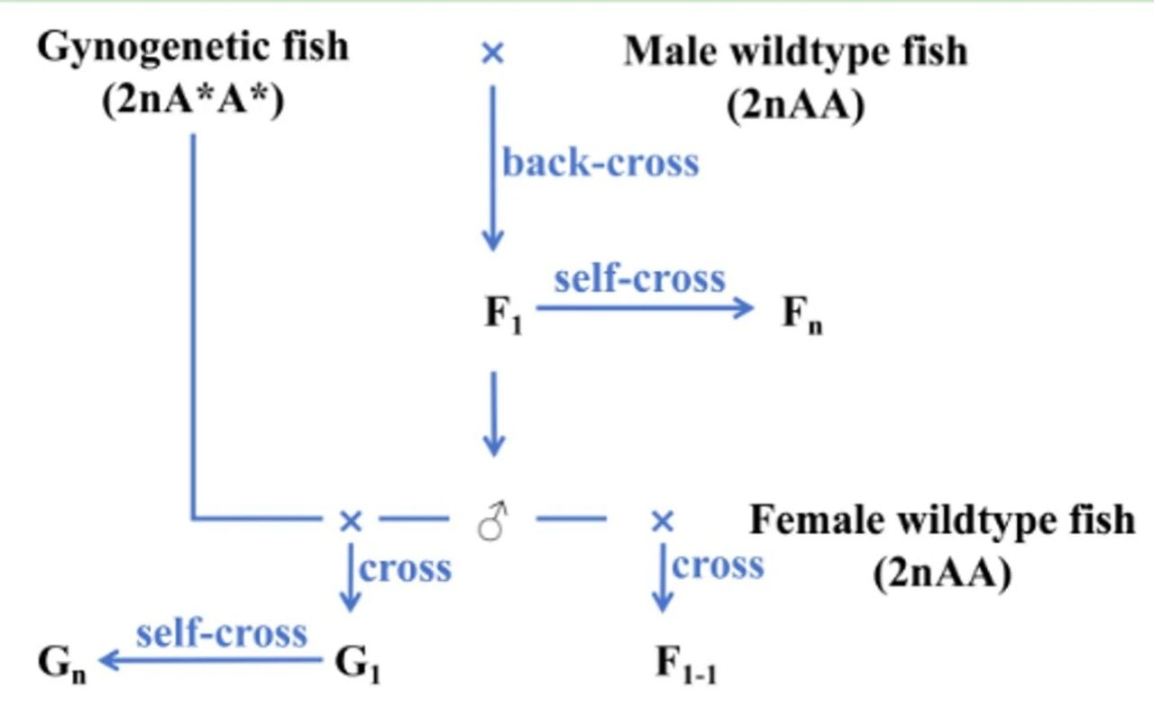 1765248972650336.jpg 7.jpg