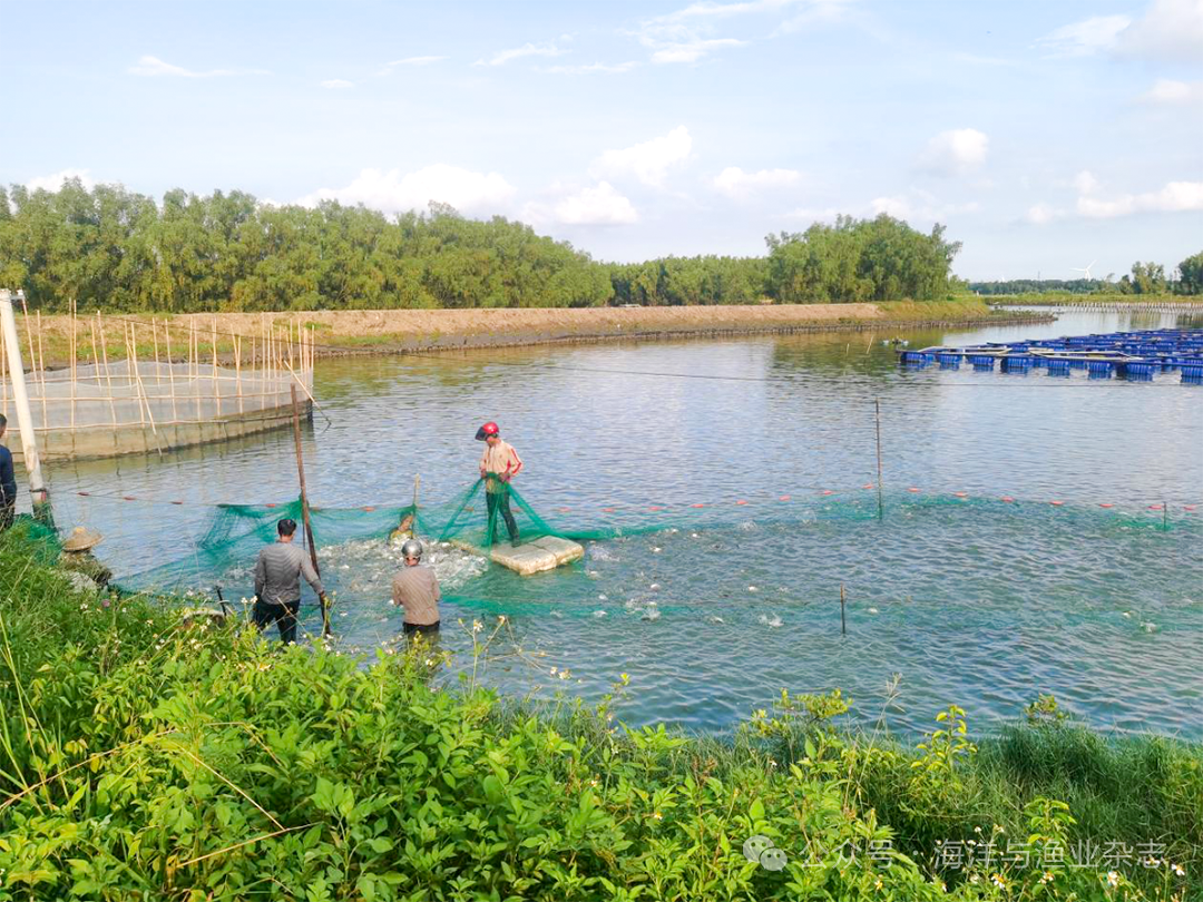 1765250124141404.png 1.png