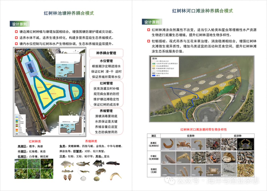 1765250180824393.png 2.png