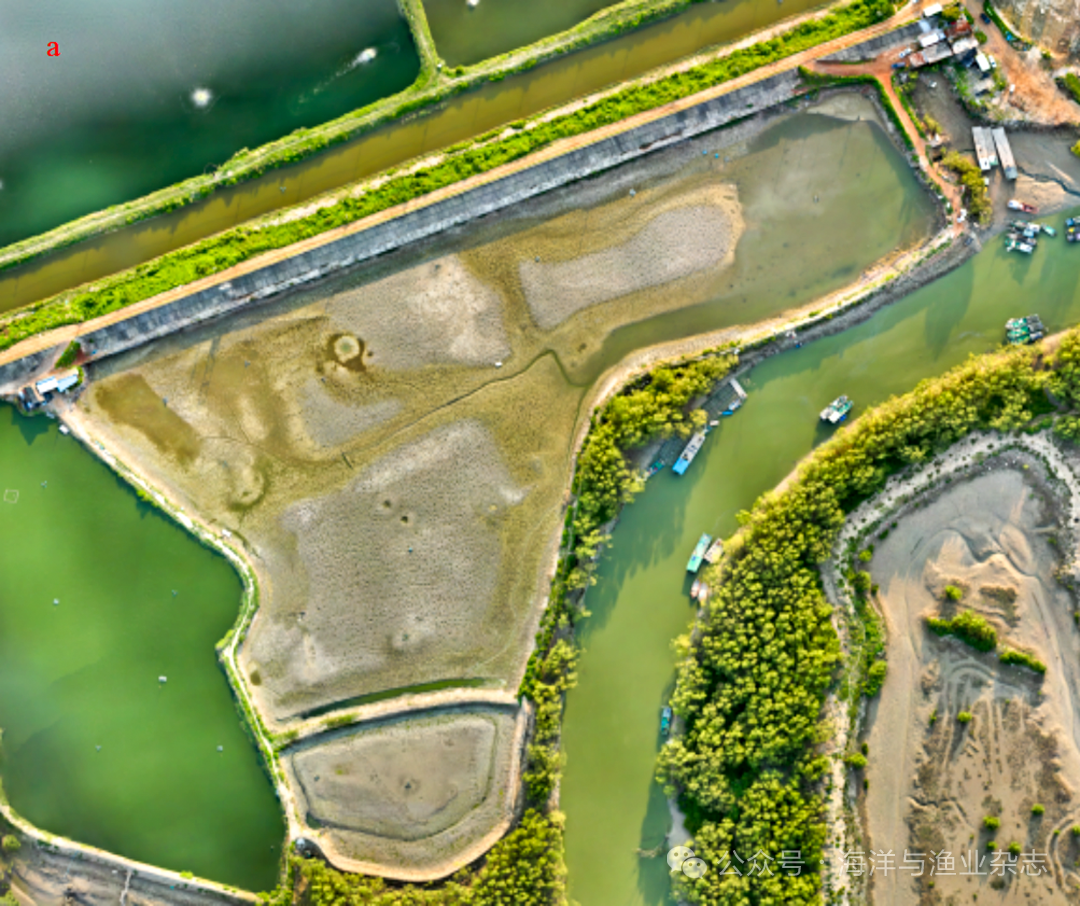 1765250198914204.png 3.png