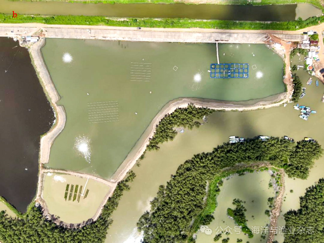 1765250212312960.png 4.png