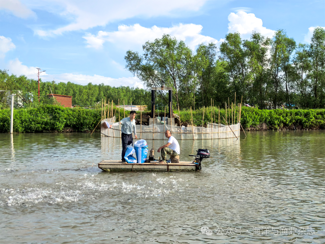 1765250234467629.png 5.png