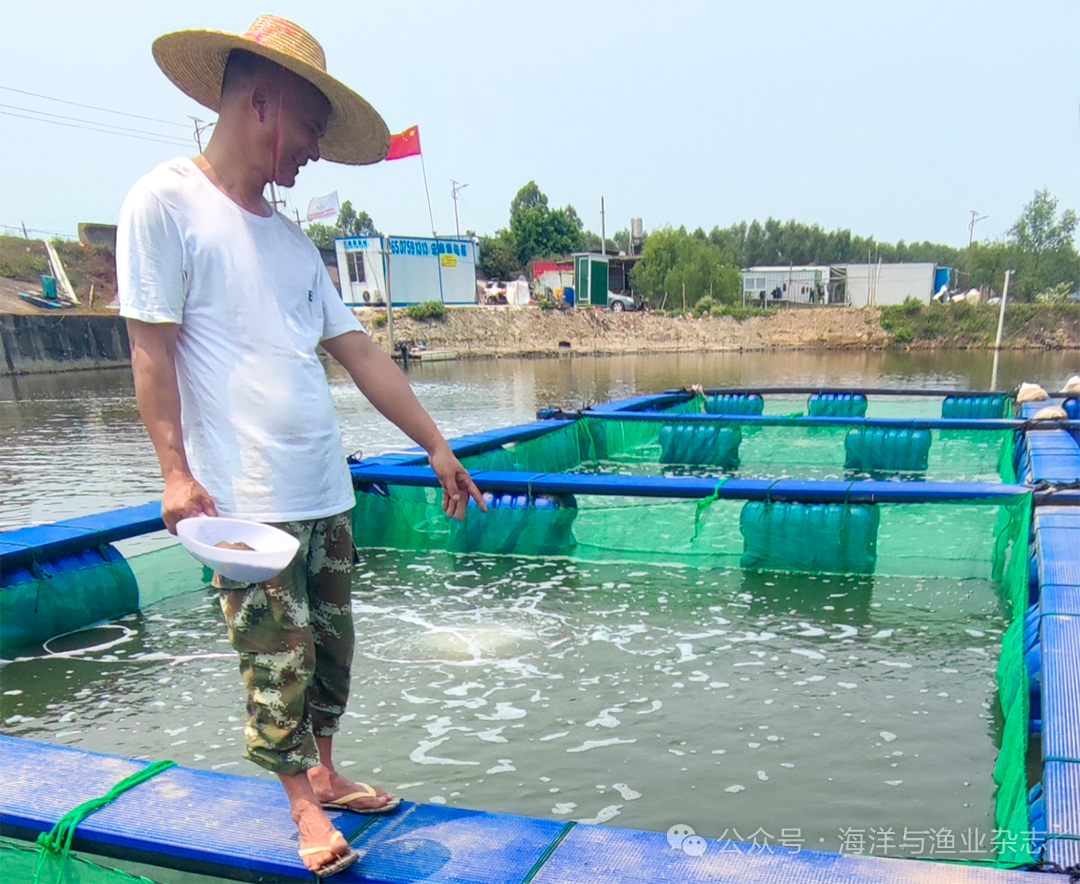 1765250248118742.png 6.png