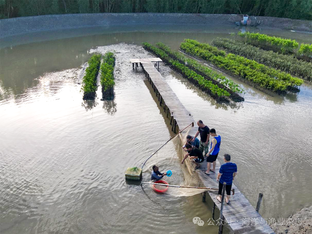 1765250282893579.png 7.png