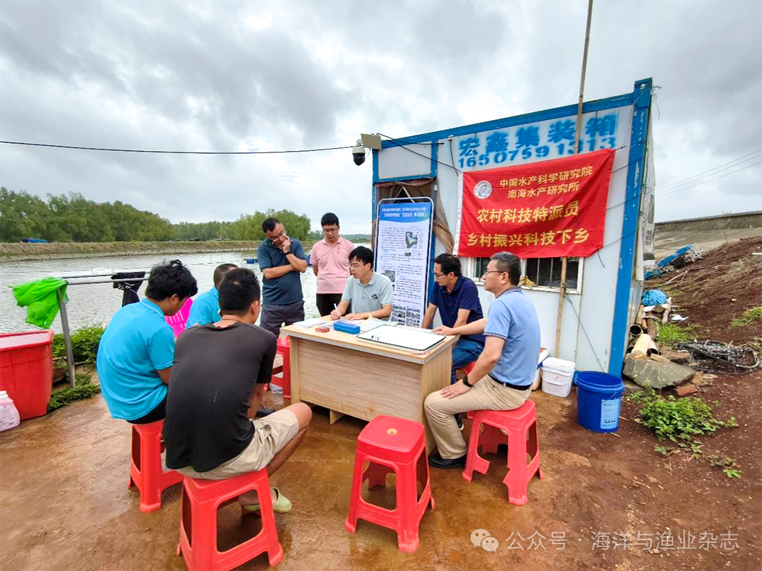 1765250316254882.png 9.png